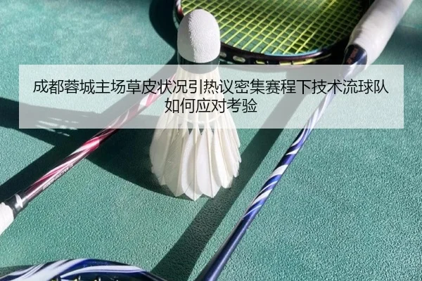 成都蓉城主场草皮状况引热议密集赛程下技术流球队如何应对考验